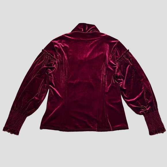 Scarlet Darkness Red Velvet Victorian Lantern Sleeve Button Down Blouse Sz 2XL - Picture 7 of 11